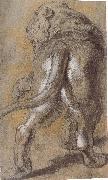 Peter Paul Rubens, Lion
